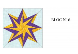 BLOC N° 6