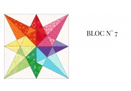 BLOC N° 7