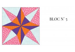 BLOC N° 5